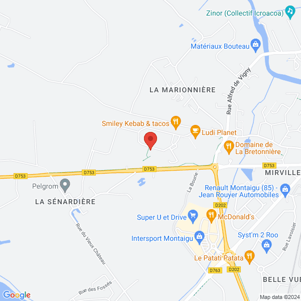 google map