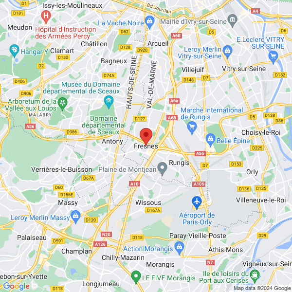 google map