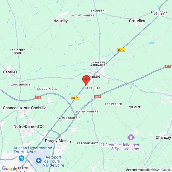 google map