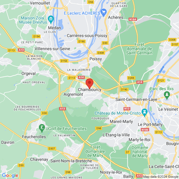 google map